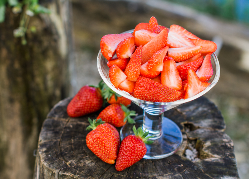 Ponudba - Čolnarna Trboje